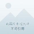 <快穿：病娇大佬他又凶又黏人南卿二二